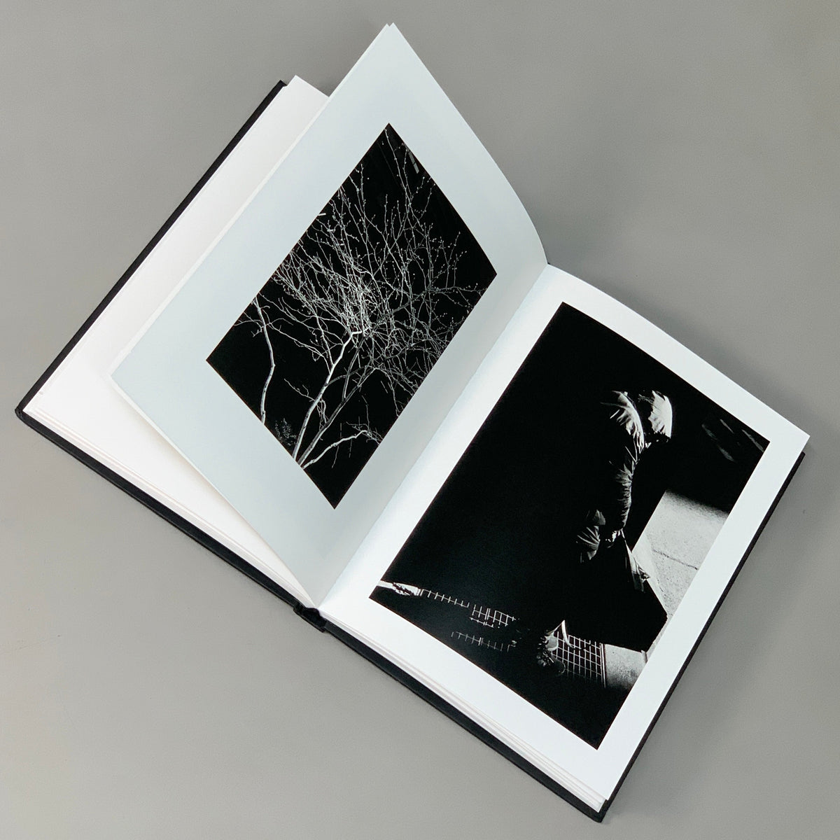 QUEST Book by Alexandre de Mortemart Photographer Black & White Artist (New other)