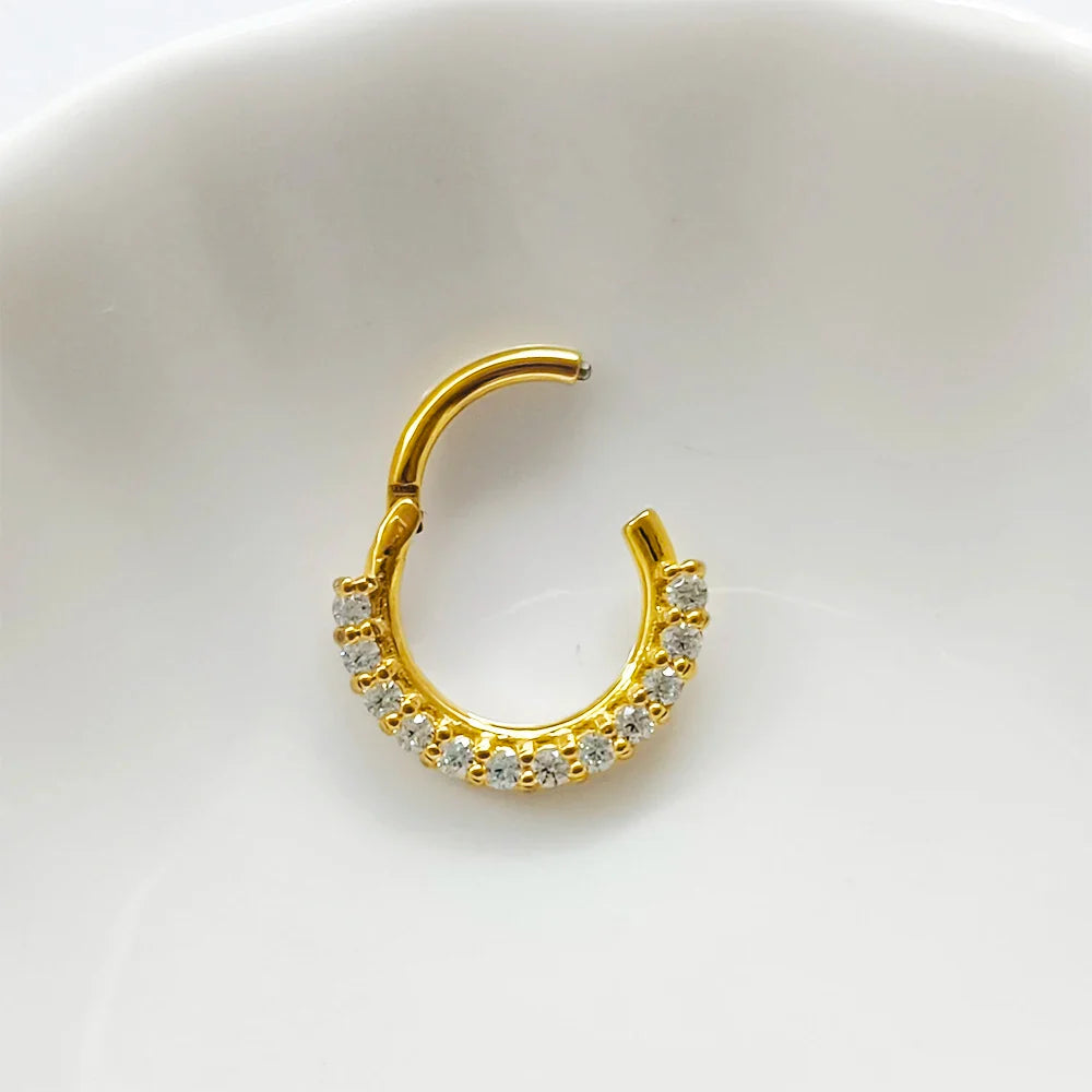 316L Surgical Steel Segment Nose Ring Zircon Septum Clicker Ear Cartilage Helix Daith Hoop Body  Piercing Jewelry