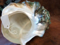 Giant Green Marmoratus Turban Shell