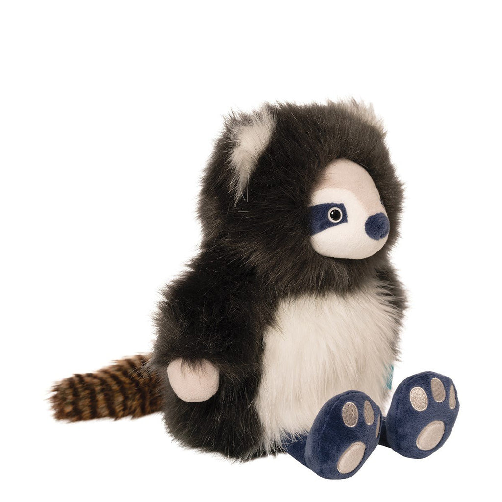 Harry the Raccoon