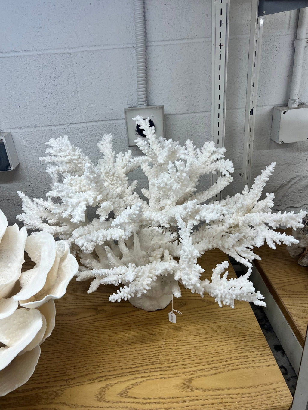 Large Branch Coral Creation- 26"x18"x7"