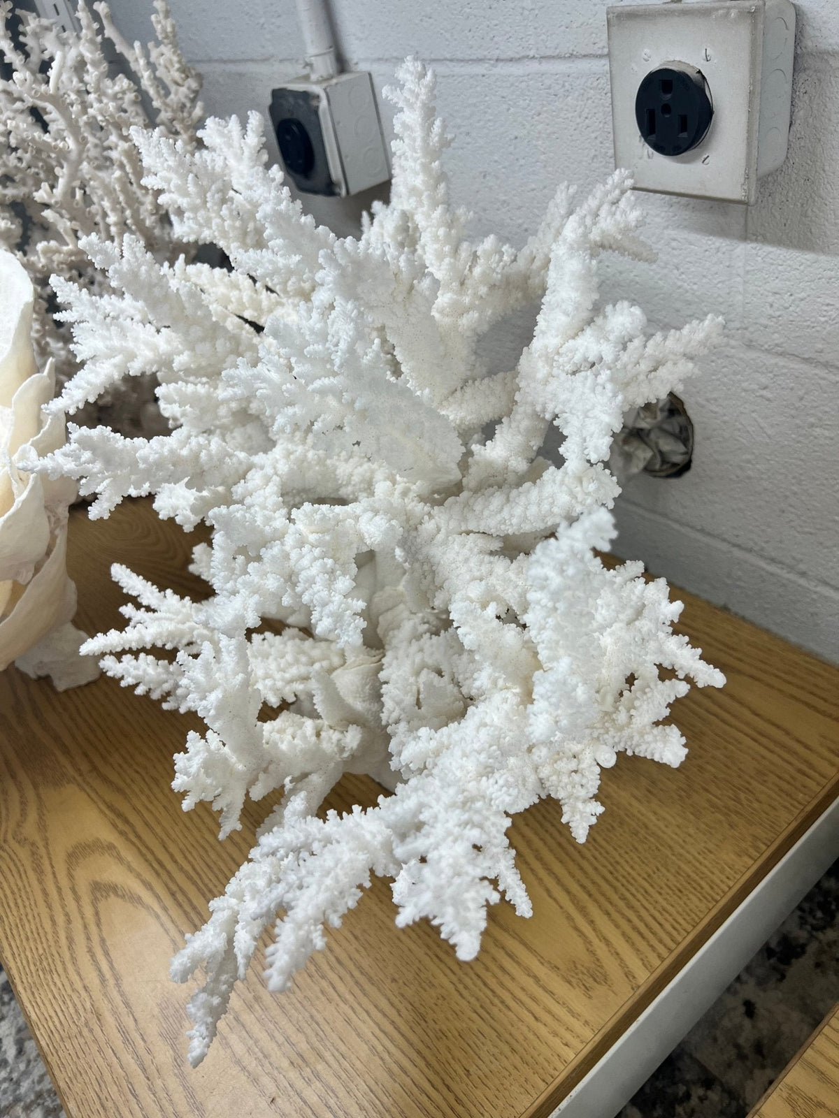 Large Branch Coral Creation- 26"x18"x7"