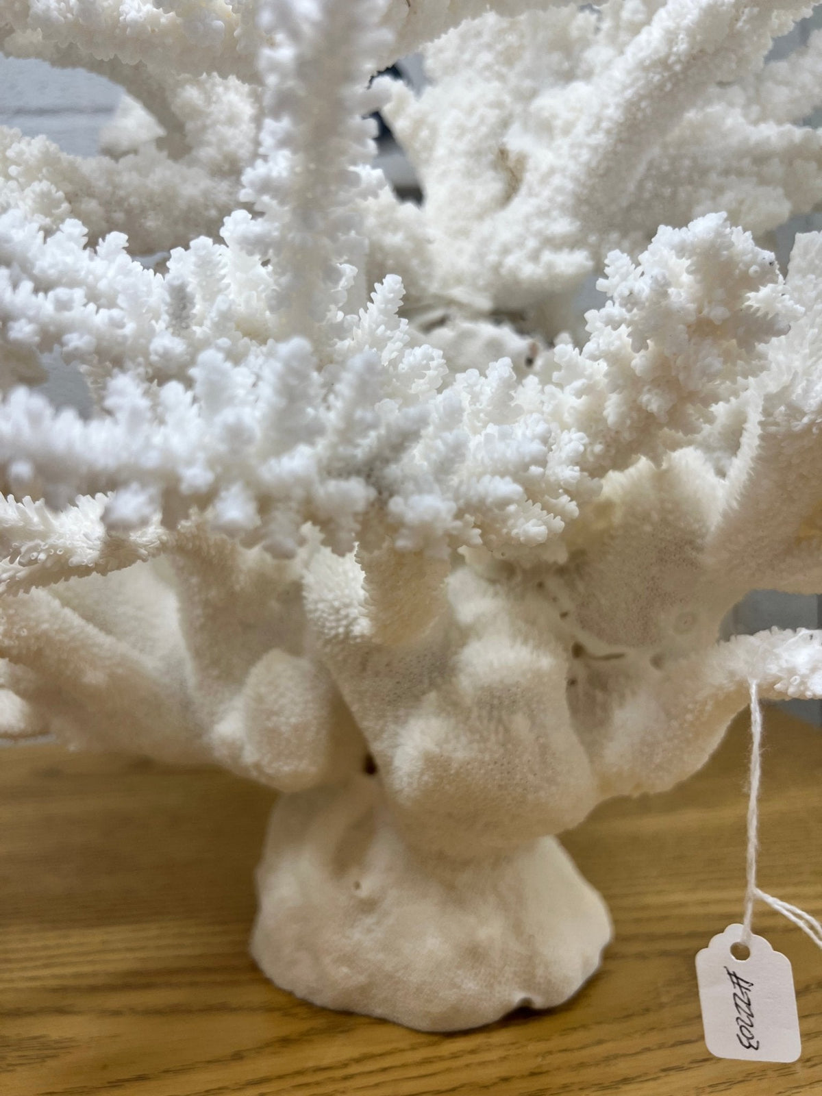 Large Branch Coral Creation- 26"x18"x7"
