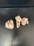 Phillipines Barnacle Cluster 3-4"