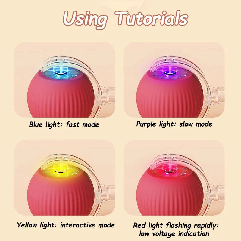 Interactive Cat Toy Ball | Automatic Rolling Rechargeable Cat Toy with Faux Tail